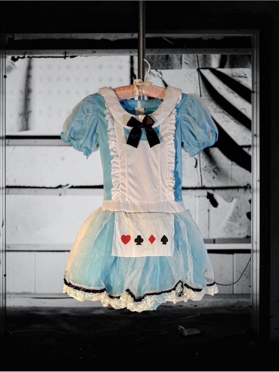 Leg Avenue Other - Leg Avenue Child's Alice in Wonderland dress Small
